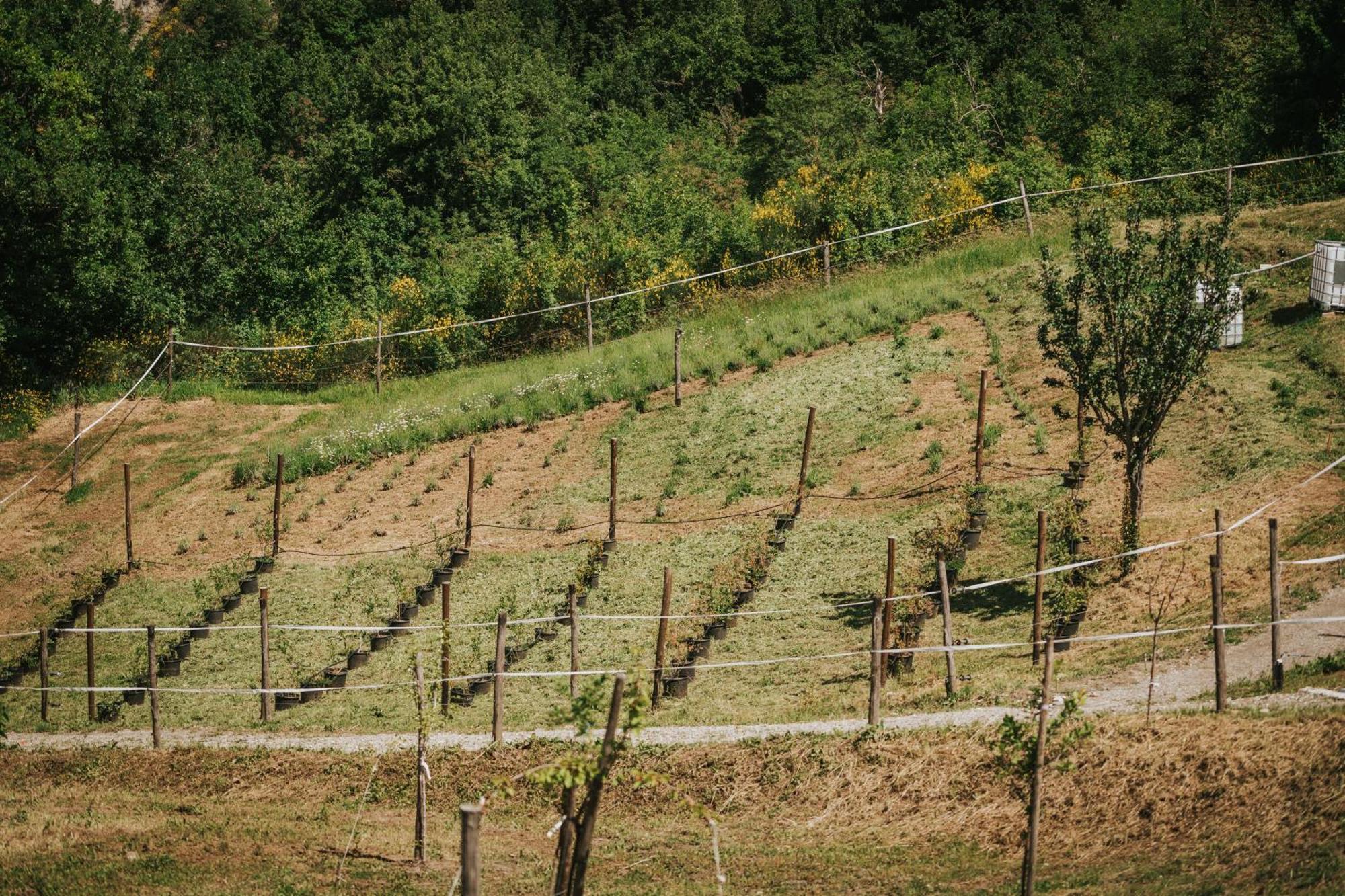 Agricampeggio Ca Di Mazza Monzuno Luaran gambar
